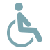 Accessibility Icon