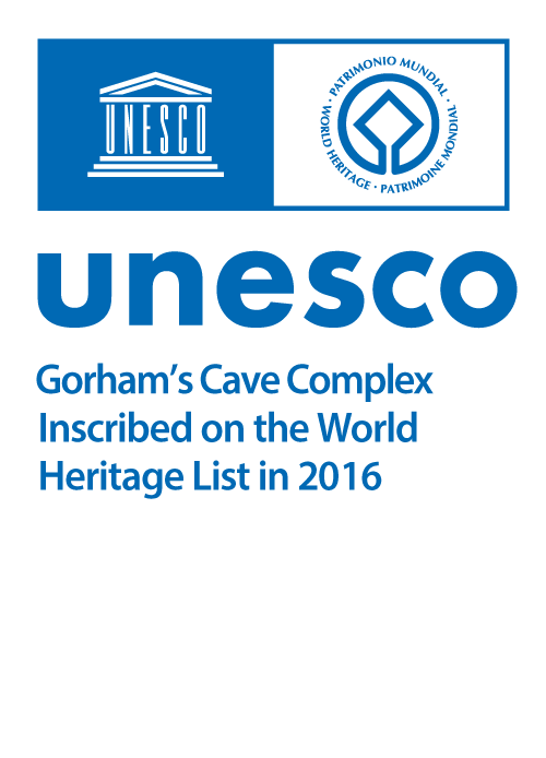 United Nations Educational, Scientific and Cultura Organization Logo