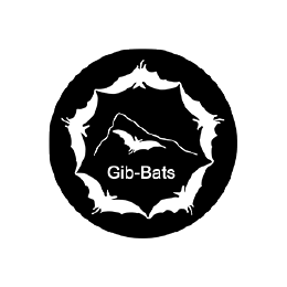 Gib Bats Logo